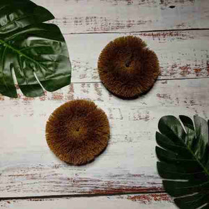 EcoCoconut Scourers - 2 pack